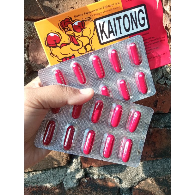 KAITONG Doping ayam pertarung / laga. suplemen ayam petarung / laga