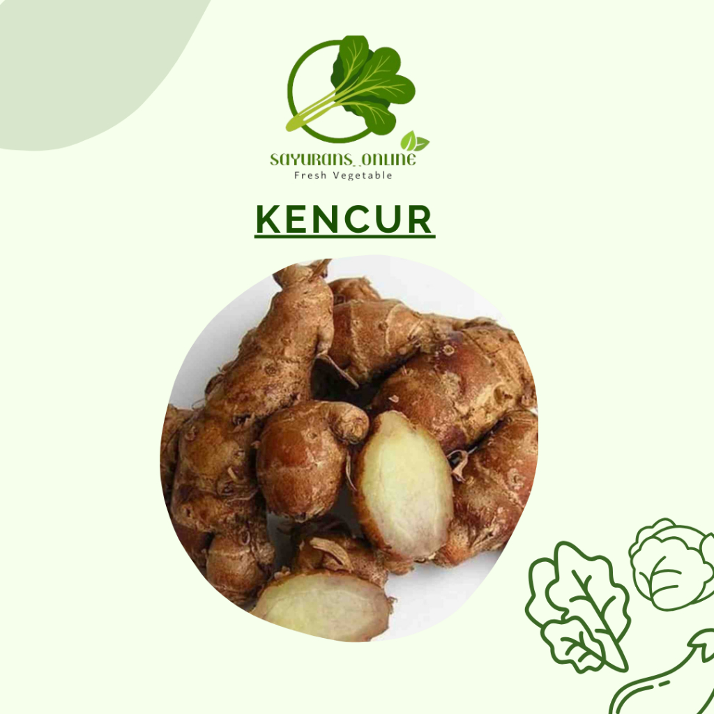 

kencur 250gr