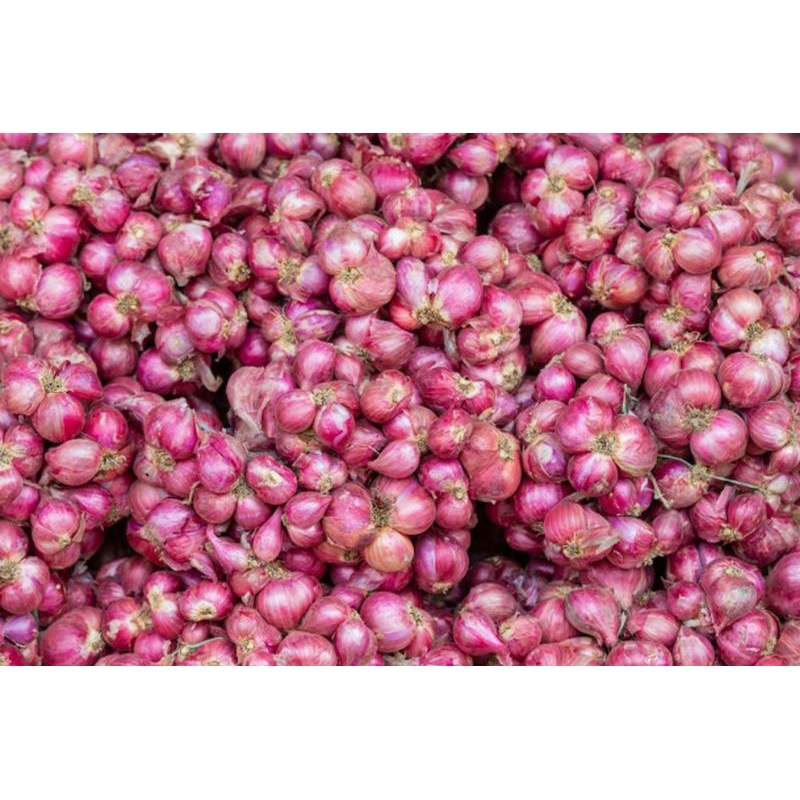 

BAWANG MERAH SUPER PROBOLINGGO/BAWANG MERAH ORIGINAL 1KG/BAWANG MERAH PROTOLAN/BAWANG MERAH SUPER