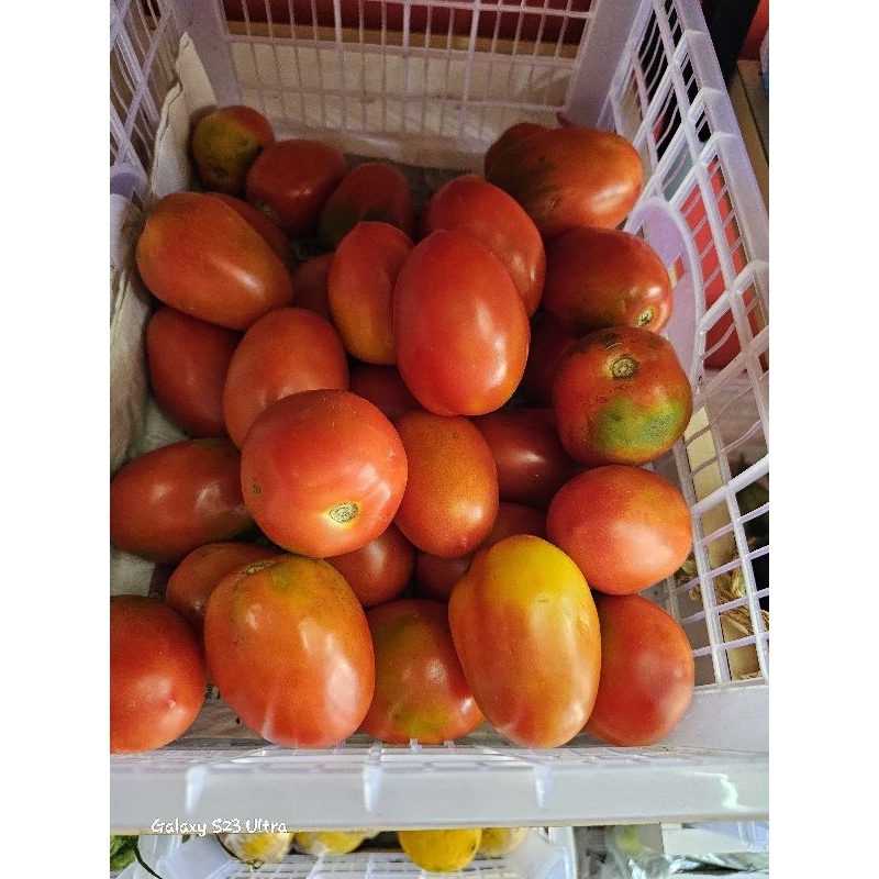 

Tomat merah super 500gr