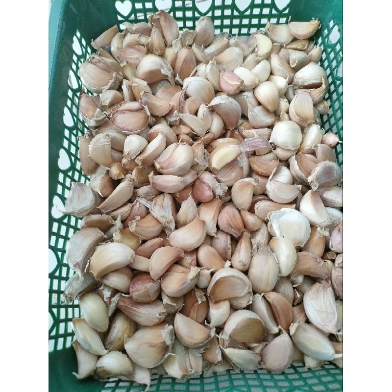 

Bawang Putih