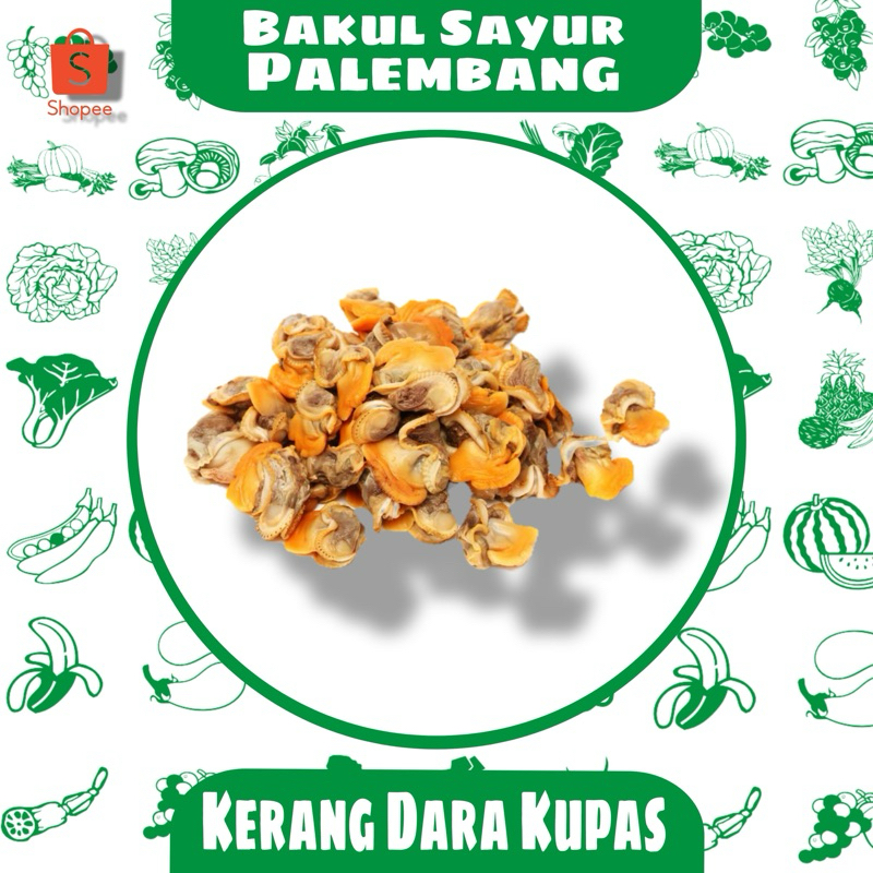 

kerang dara kupas (PALEMBANG)