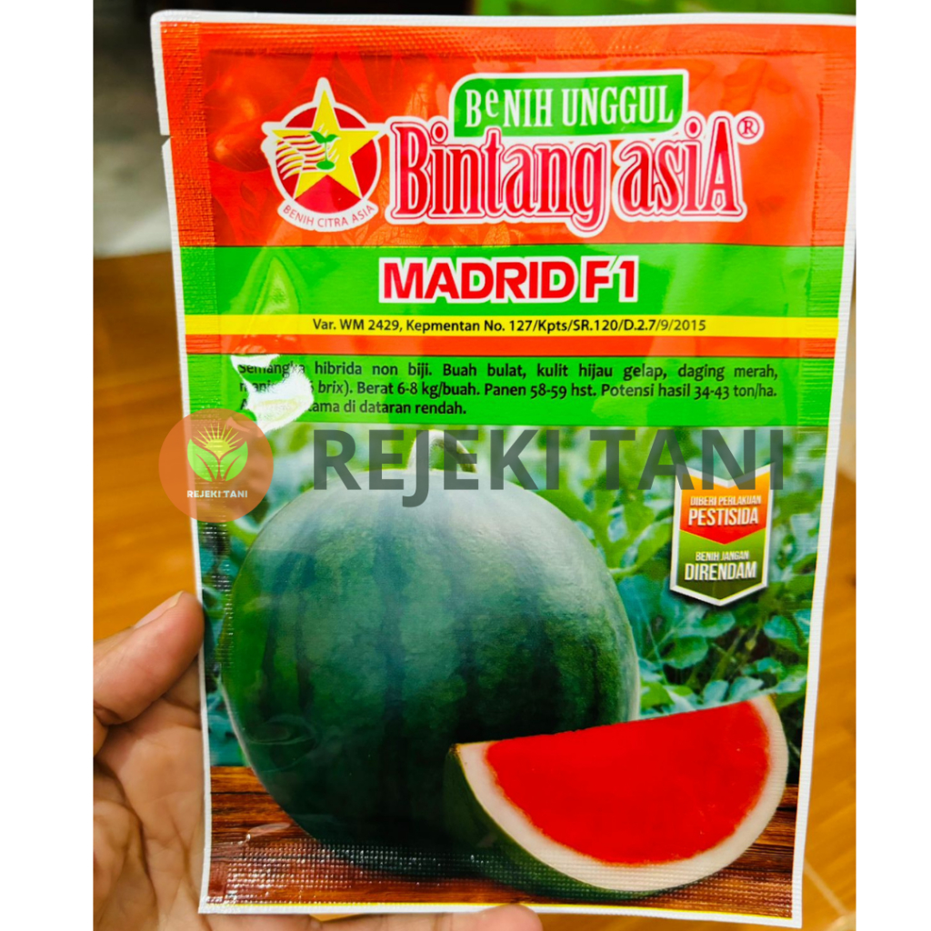 Benih semangka non biji Madrid bintang asia 20 gram semangka seedless bca