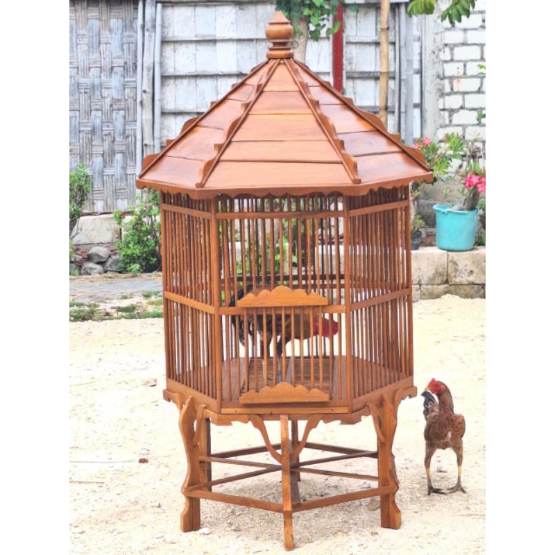 SANGKAR BEO AYAM BEKISAR AYAM PELUNG AYAM HUTAN AYAM KATE AYAM KETAWA AYAM BANGKOK BURUNG JAL4K POKS