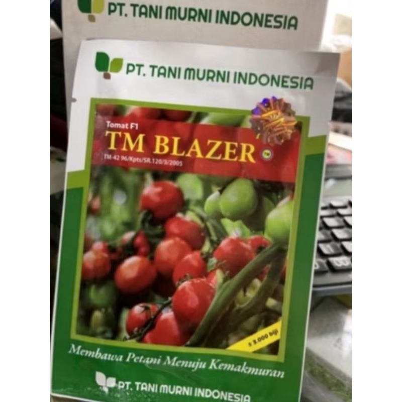 bibit tomat tm blazer