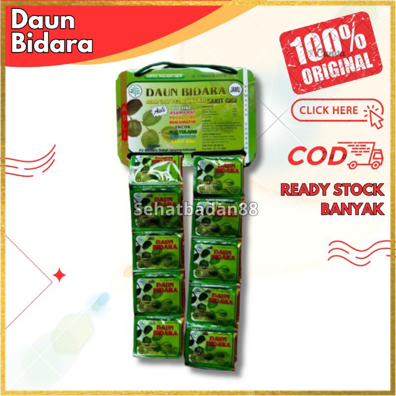 kapsul daun bidara