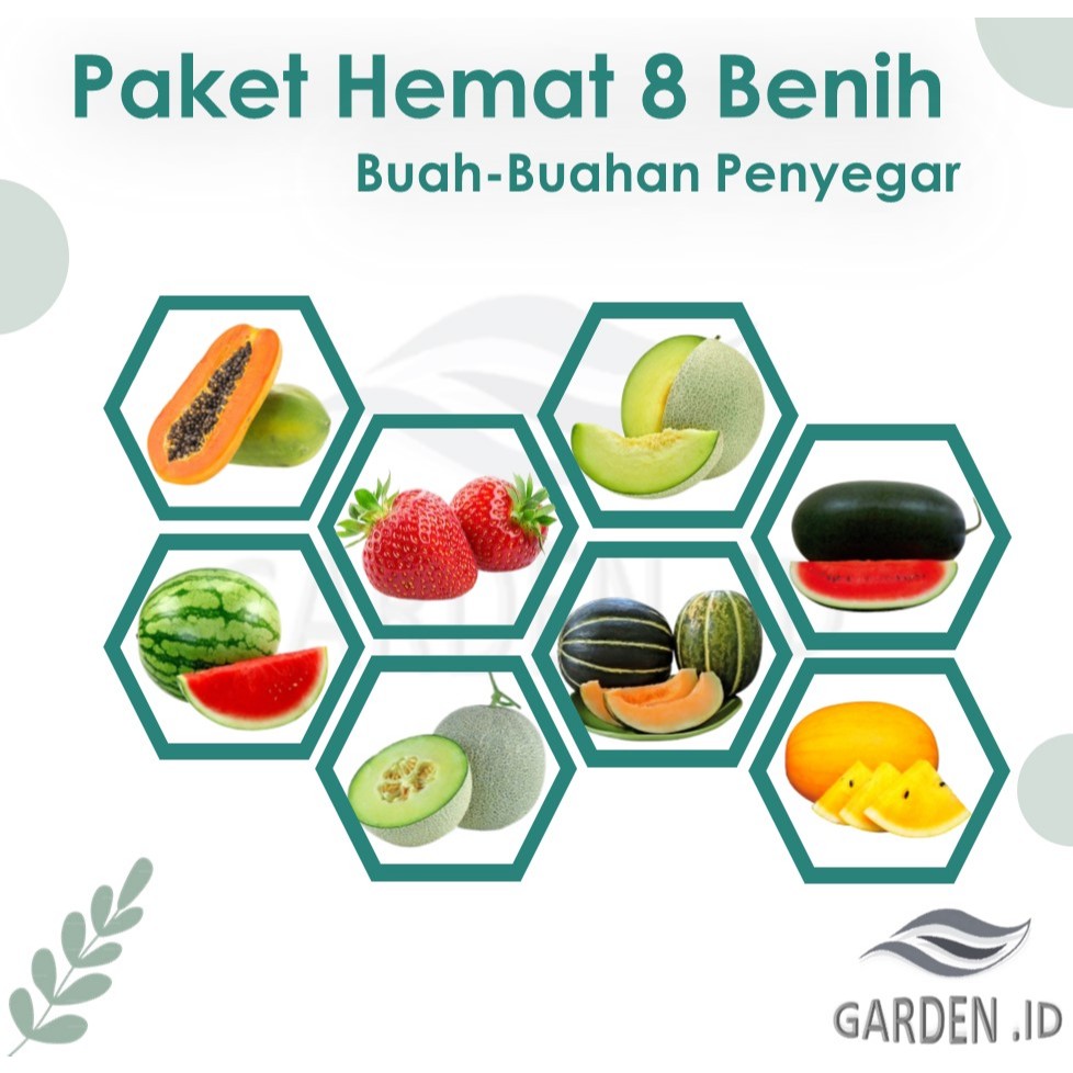 Paket Hemat Bibit Benih Buah-Buahan Penyegar 8 Macam Benih Buah Pepaya California Semangka Non Biji 