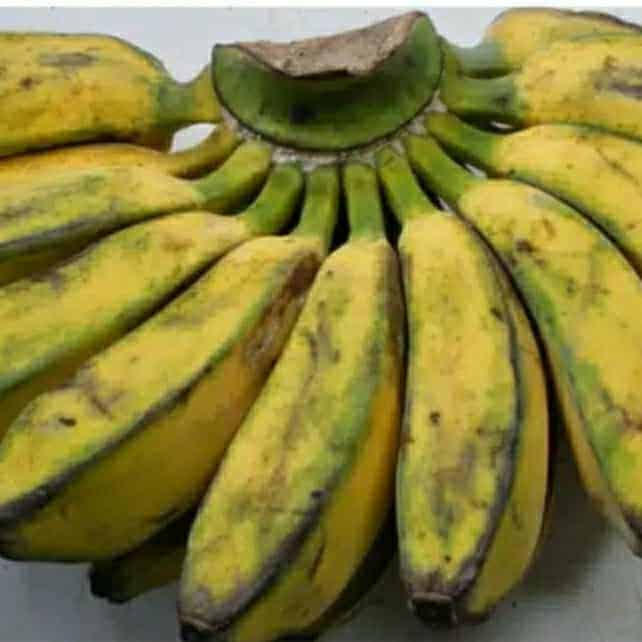 

Pisang Kepok 1 Sisir