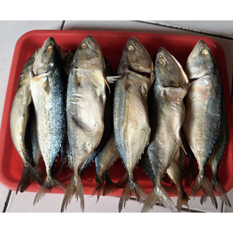

Ikan Peda 250gr 500gr dan 1000gr