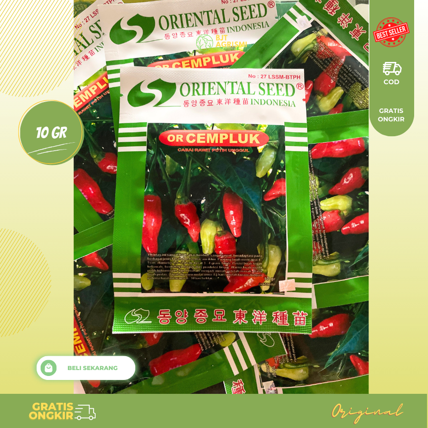 

Benih Cabai Rawit Putih Cabe OR CEMPLUK 10 gram ORIENTAL SEED