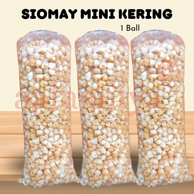 

SIOMAY MINI KERING BASO ACI RENYAH ENAK (1 BALL)