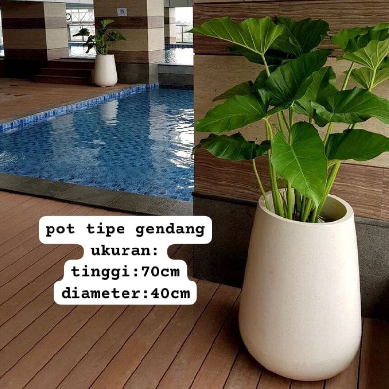 pot teraso model gendang minimalis