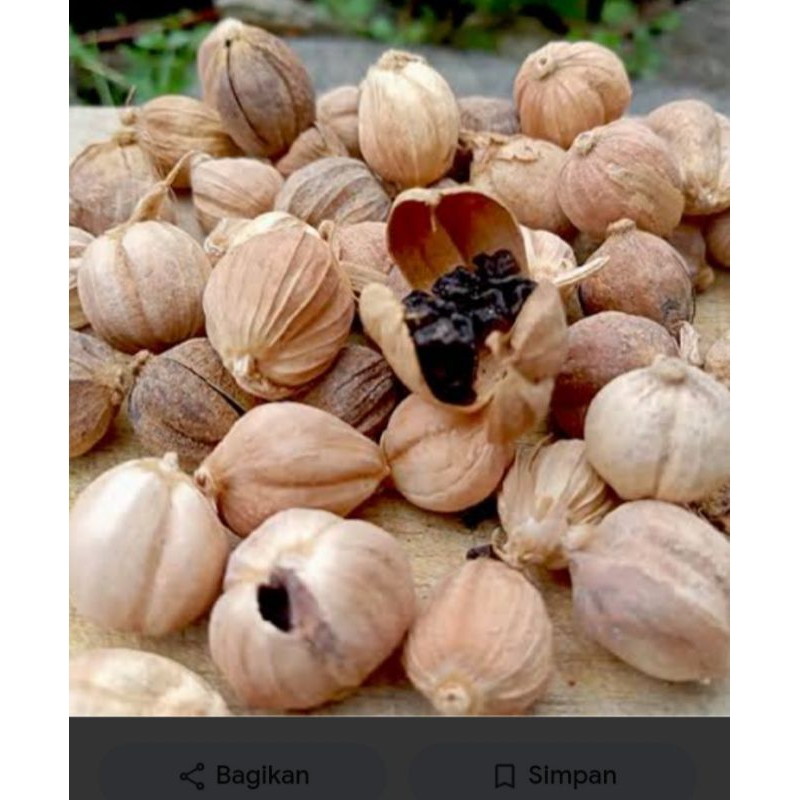 

kapulaga / kapol/kapulaga kering/rempah-rempah murah/