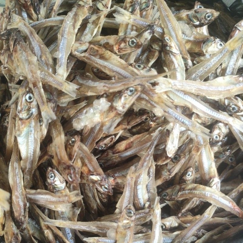 

ikan kering teri tawar tanggung