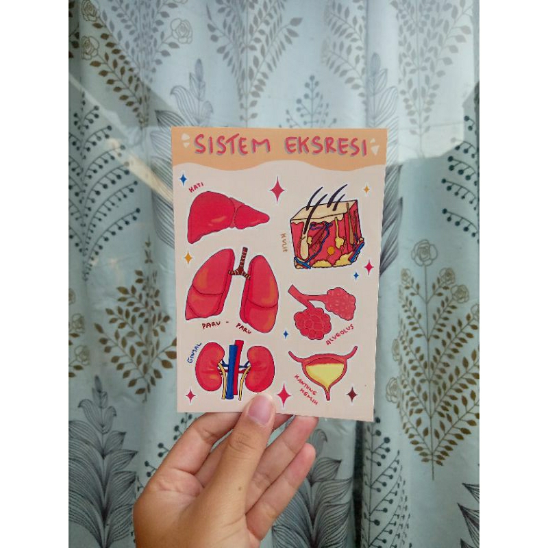 

STIKER BIOLOGI_SISTEM EKSRESI
