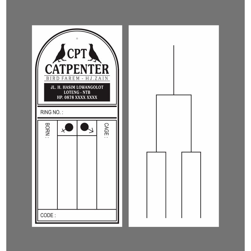 KITIR BURUNG BAHAN MIKA ANTI AIR & ANTI SOBEK