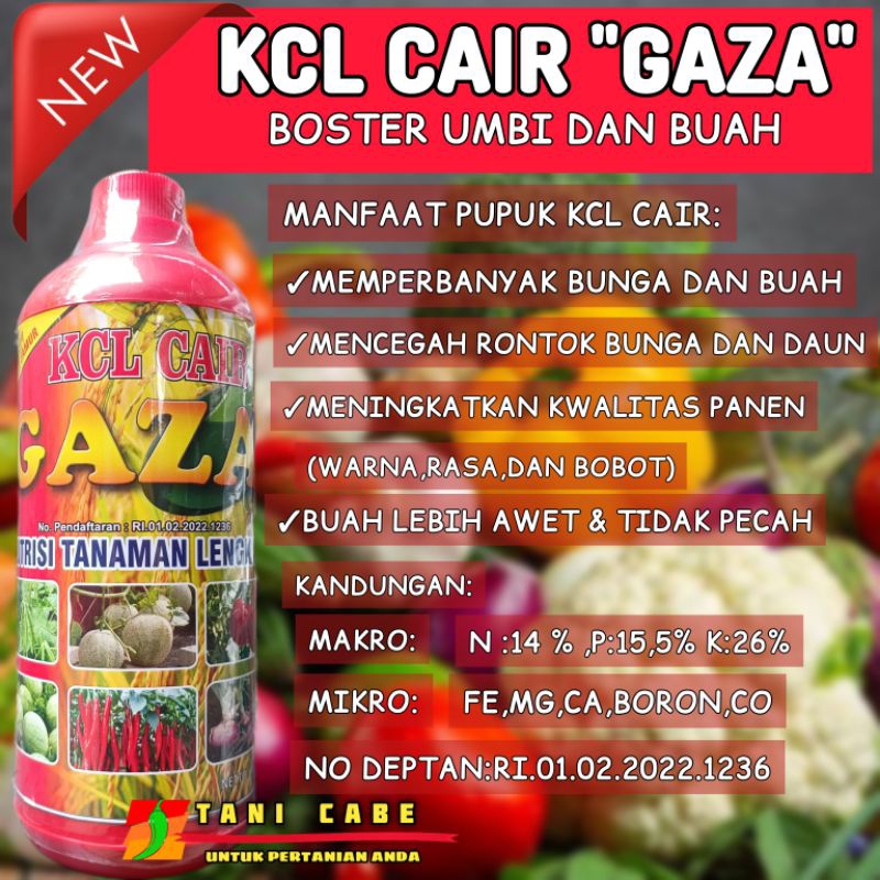 KCL CAIR GAZA BOSTER UMBI DAN BUAH 1LITER
