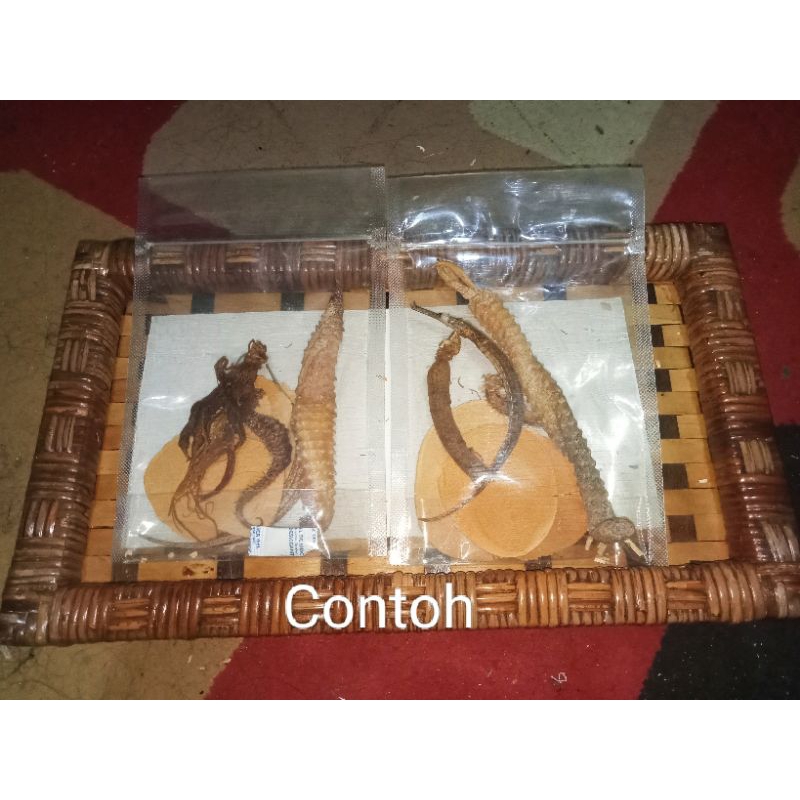 

TANGKURCOR GINSENG Ramuan Rendaman Herbal Komplit 6 macam siap rendam