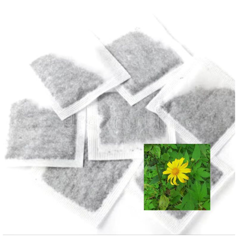 

Teh Celup Daun Insulin