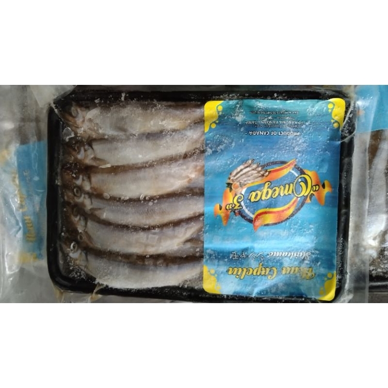 

Ikan Shisamo Isi telur Cipung MPASI kaya omega