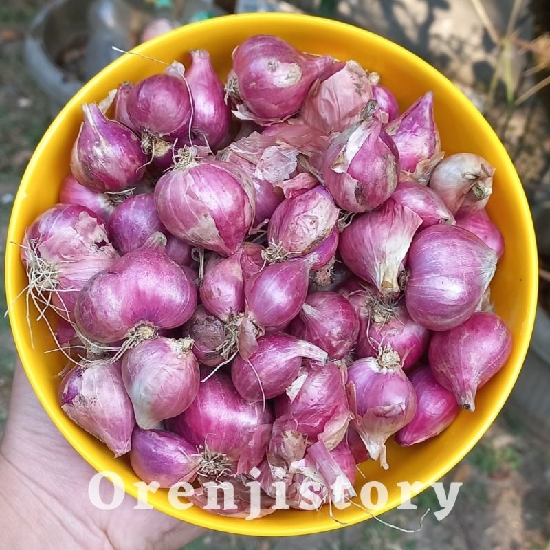 

Bawang merah lokal 1kg harga promo brambang