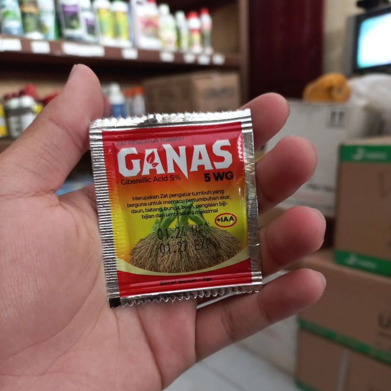 zat pengatur tumbuh GANAS 5 WG-2gram