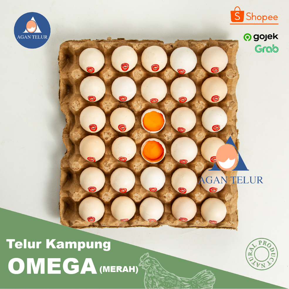 

TELUR AYAM KAMPUNG OMEGA/TELUR KAMPUNG OMEGA (30 BUTIR)