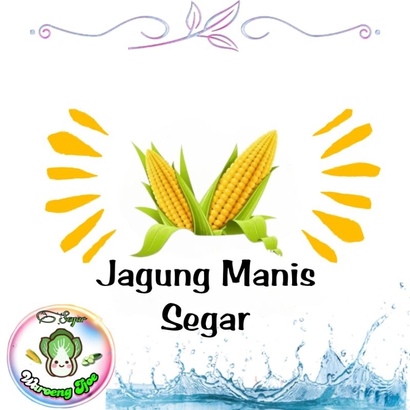 

Jagung Manis Segar