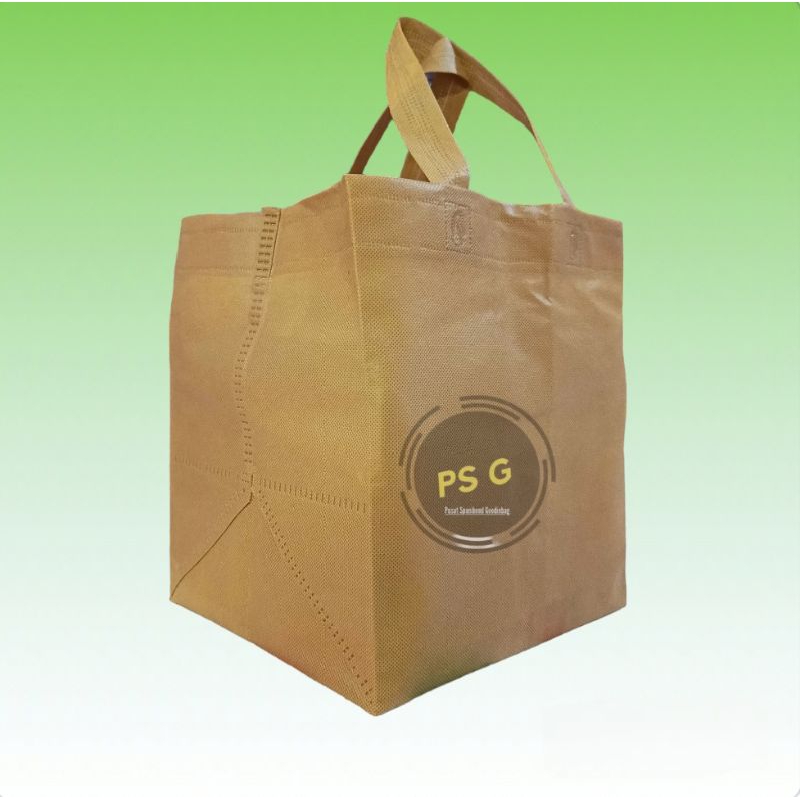 

iDk90 TAS SPUNBOND BOX/KOTAK NASI 24x22 tinggi 28cm 1 lusin (isi 12pcs)