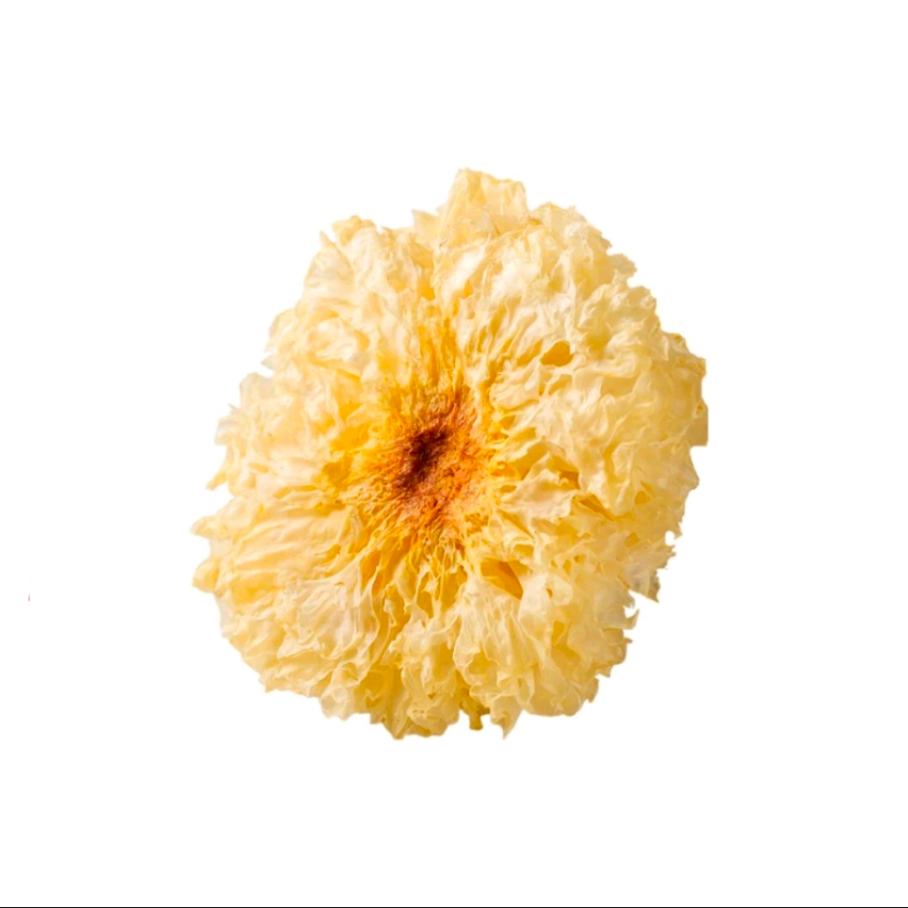 

BaiMuEr Yin Er Yiner Jamur Putih Kering Bai Mu Er White Fungus 1 Pcs 30g+