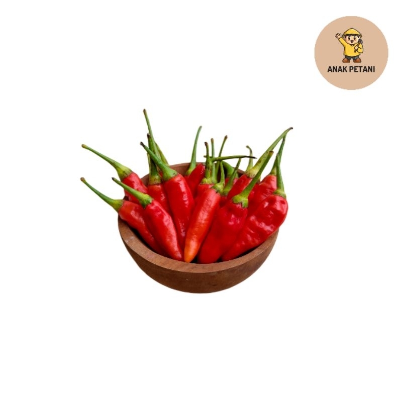 

Cabe Rawit Merah 100gr - Bumbu