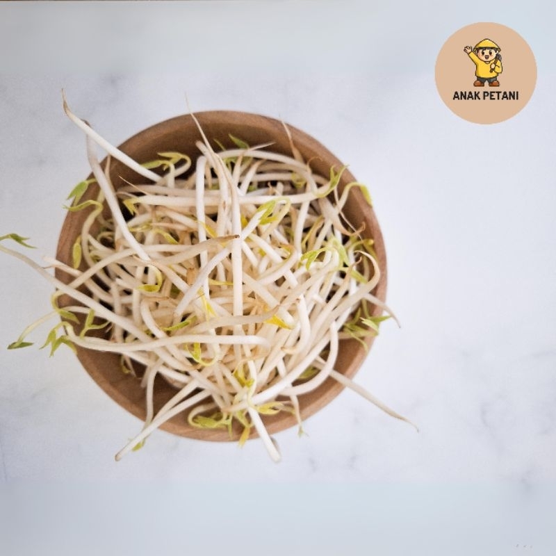 

Kecambah / Tauge Sayur 500gr