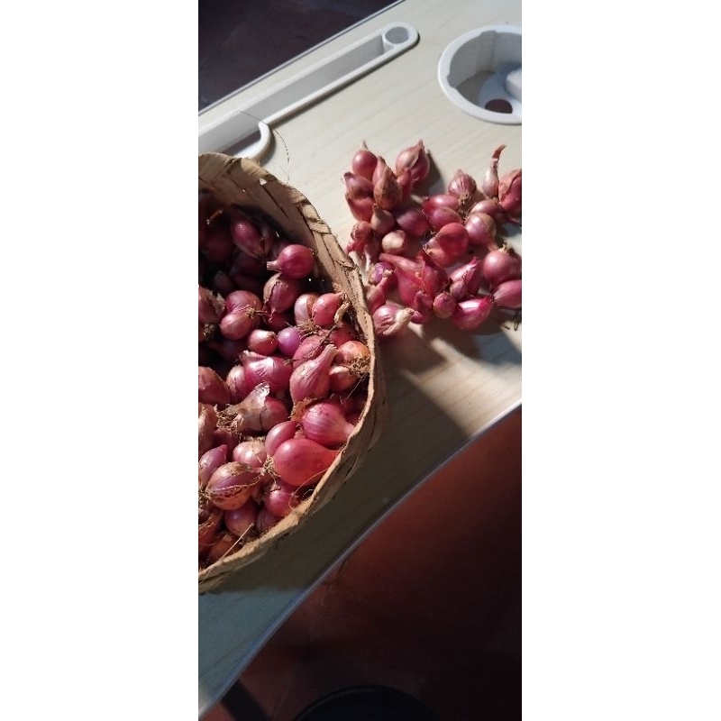 

bawang merah tanggung kecil
