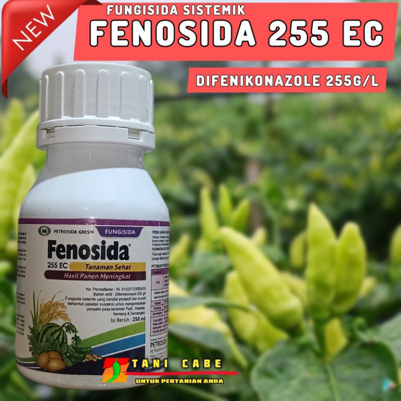 FUNGISIDA FENOSIDA DIFENOKONAZOLE 255 EC