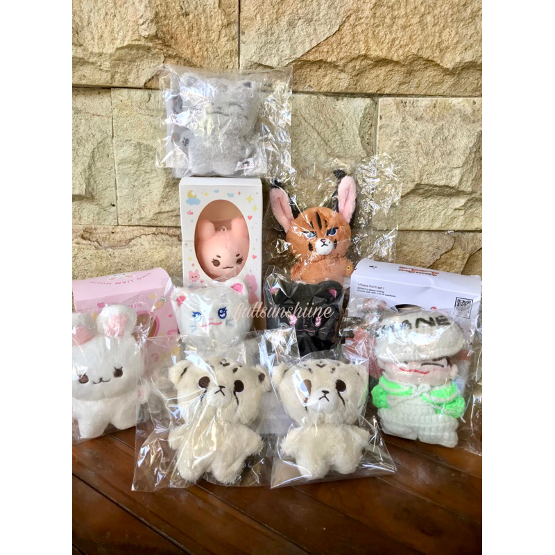 [READY INA] CHEETAH LEE CARAJOHN KONGJJAM KKOMLE MOMOTOULE LINA KKAMNA NANNA