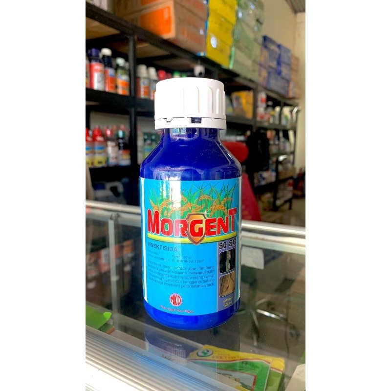 MORGENT INSEKTISIDA 500ml