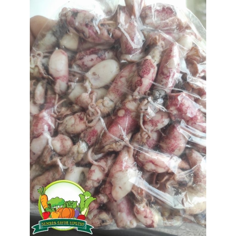

Cumi asin baby 100 gram - KIRIM INSTAN