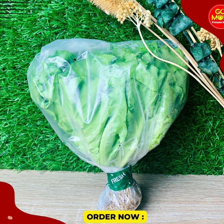 

SELADA ORGANIK 200GR