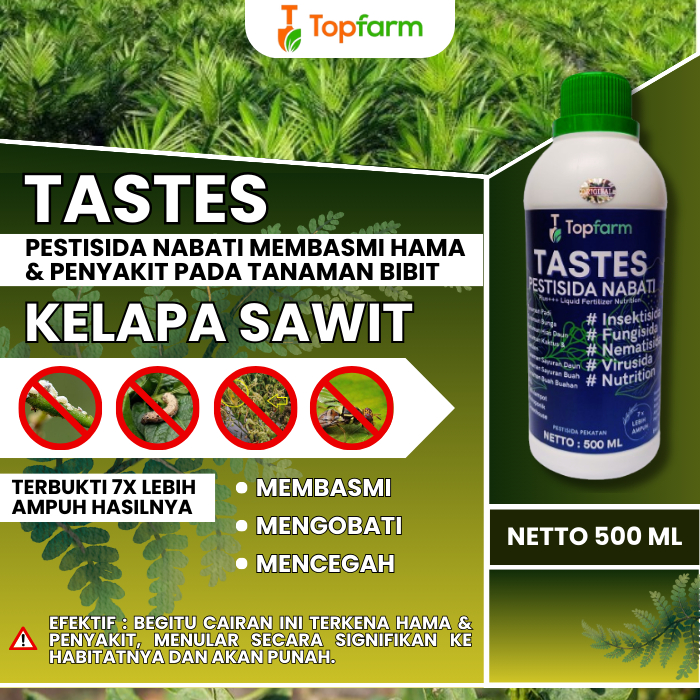 Obat Hama Bibit Sawit Daun Kering / Obat Hama Bibit Sawit / Obat Bercak Daun Pada Bibit Sawit / Obat