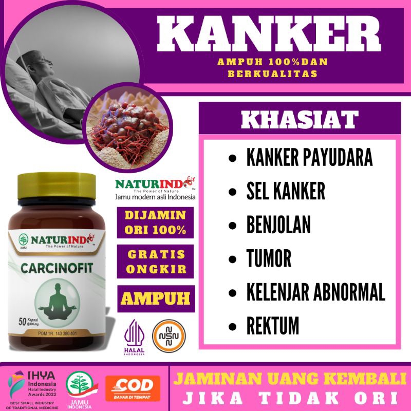 Obat kanker dan tumor paling ampuh untuk anus serviks usus hati mulut otak mata paru paru kulit test