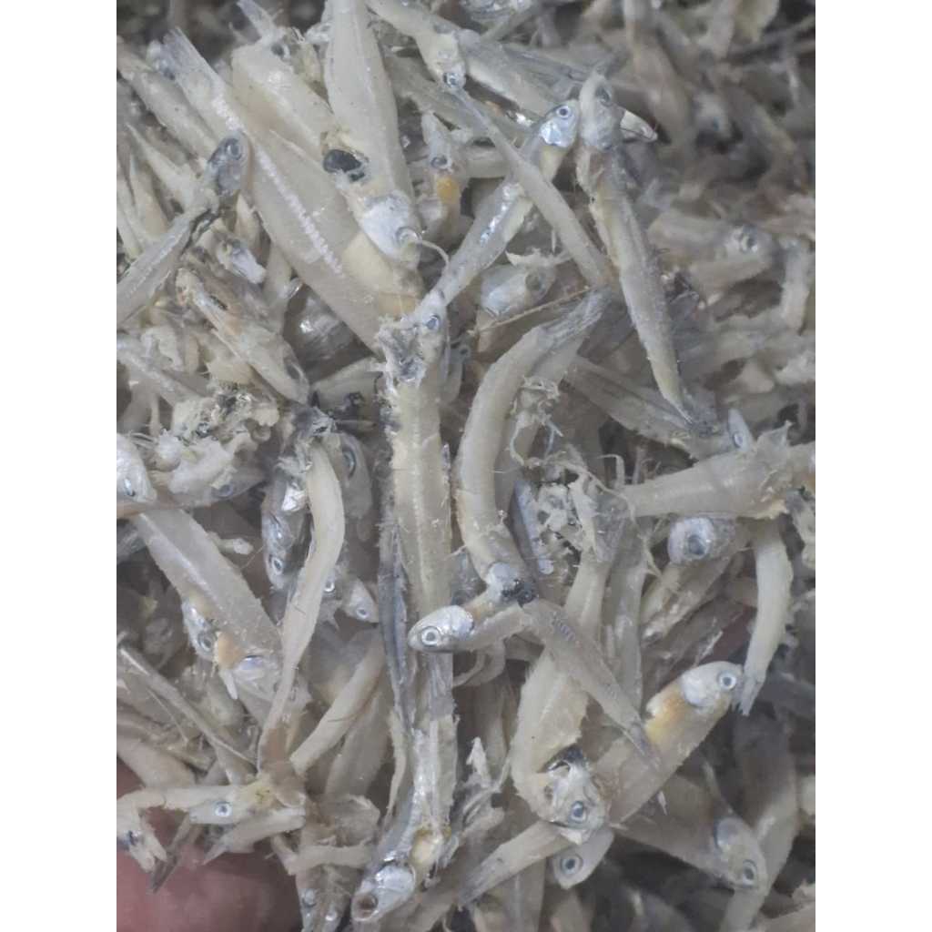 

teri asin bukan teri jengki/teri putih-kering1kg/bukan teri jengki 1kg/1000gram