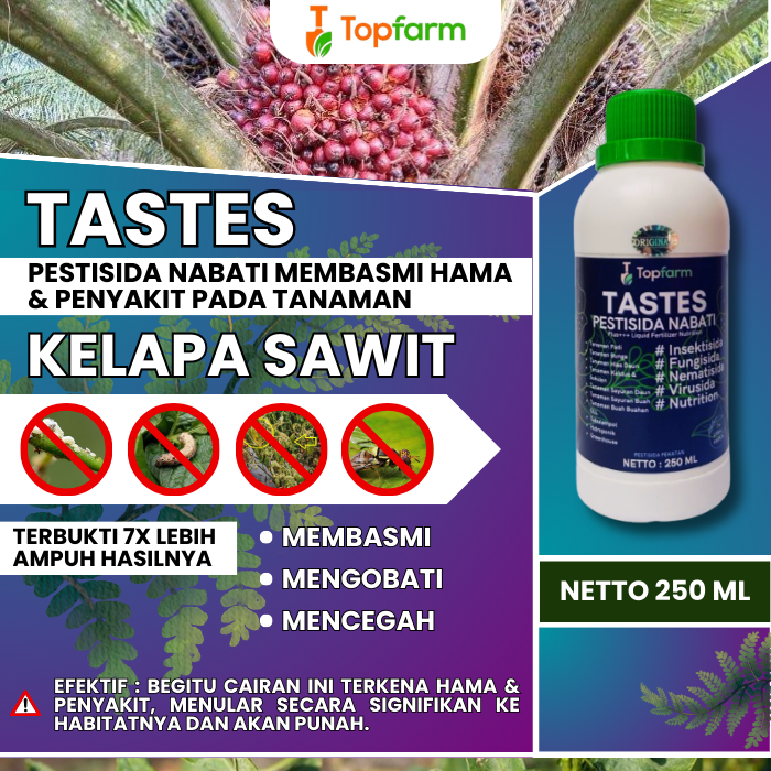Obat Bintik Pada Daun Sawit / Obat Kelapa Sawit Mati Pucuk / Obat Pembasmi Hama Kelapa Sawit / Obat 