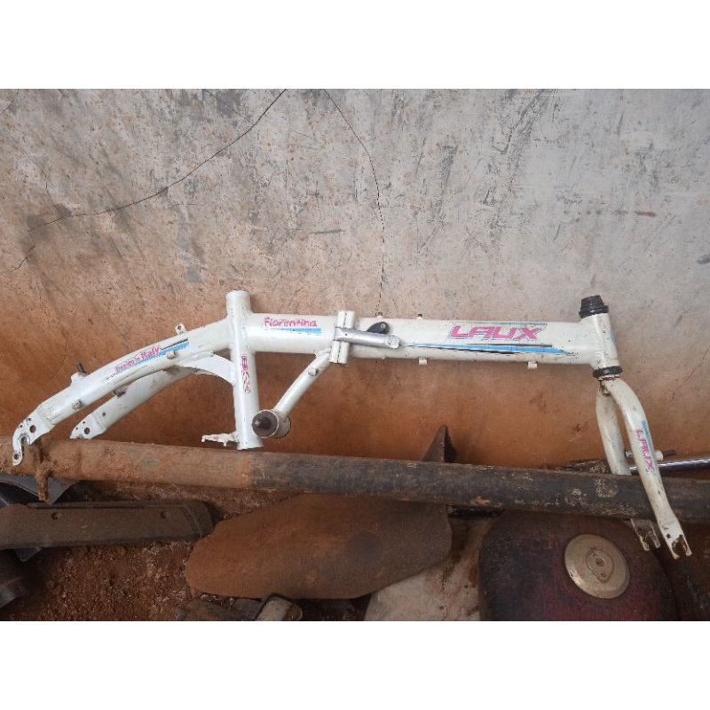 FRAME LAUX Fiorentina