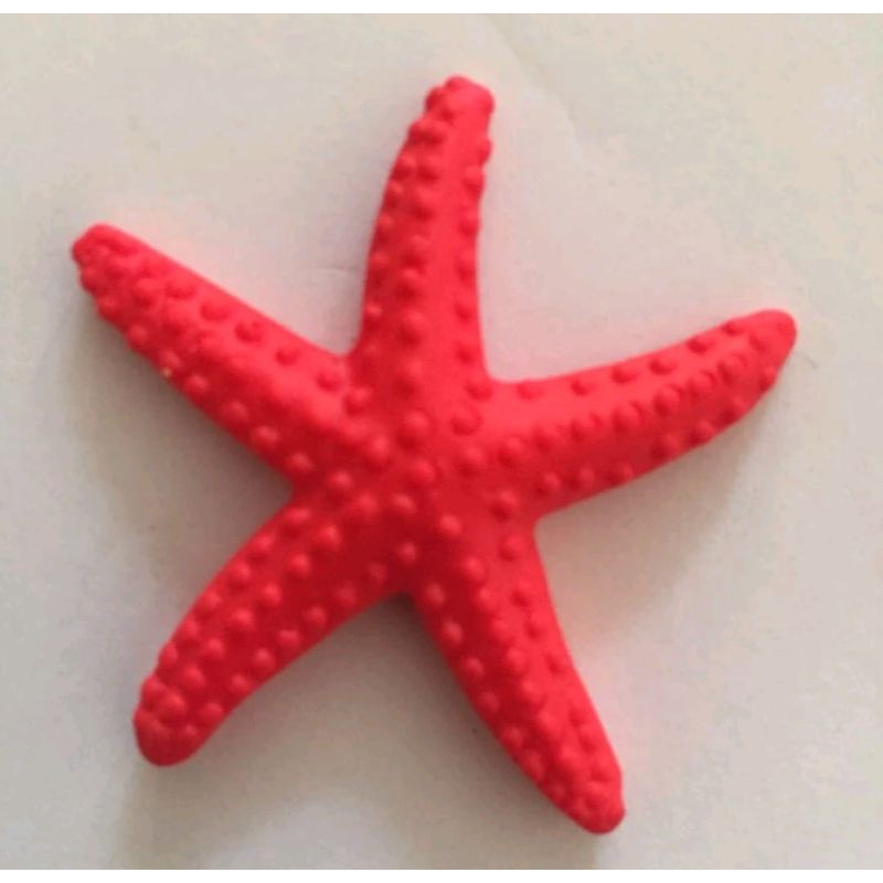 Ornamen hiasan bintang laut aquarium - aquascape