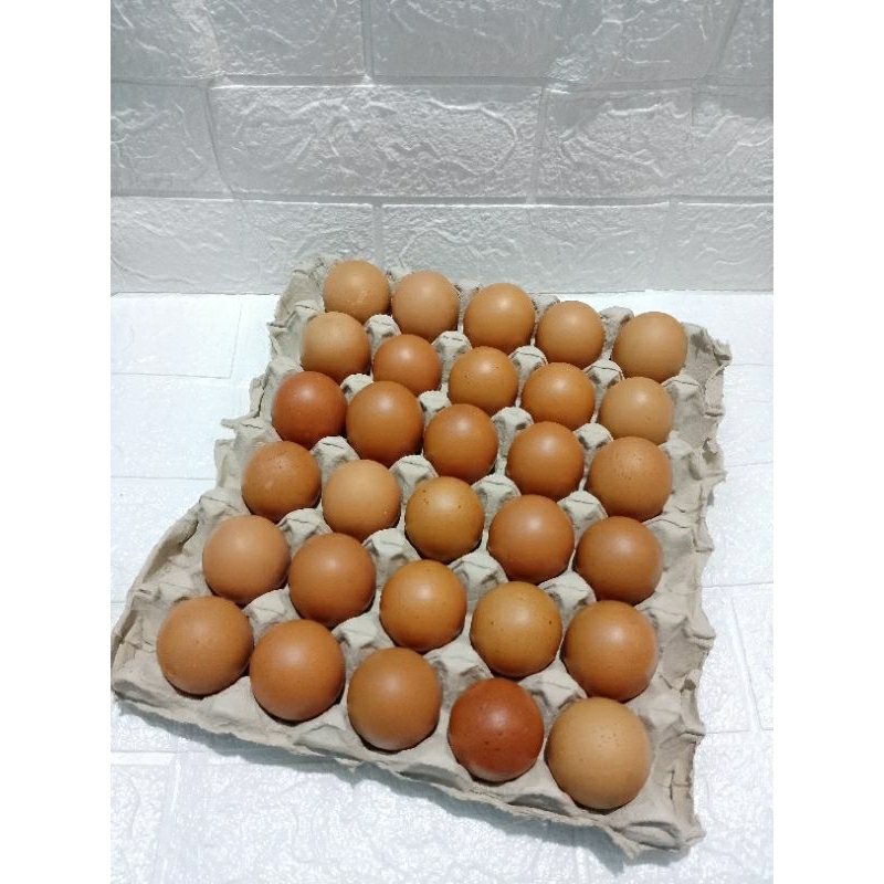 

Telur ayam negeri isi 30 butir sekitar 1,9 kg kulit lebih tebal /kirim instan