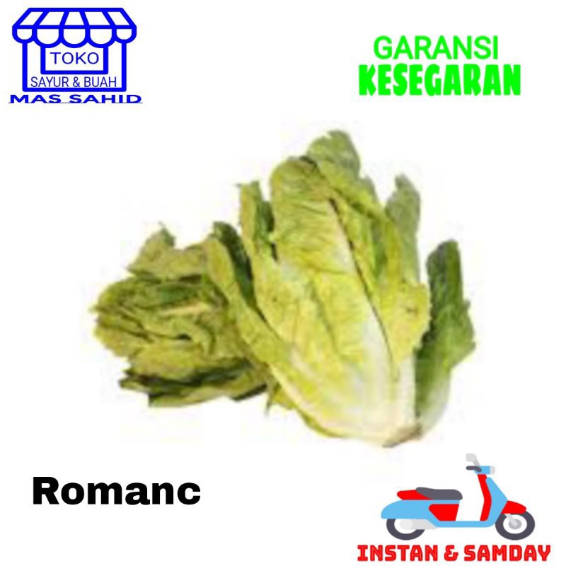 

Sayur Romaine Selada Romain 100gr/200gr Sayur Salad