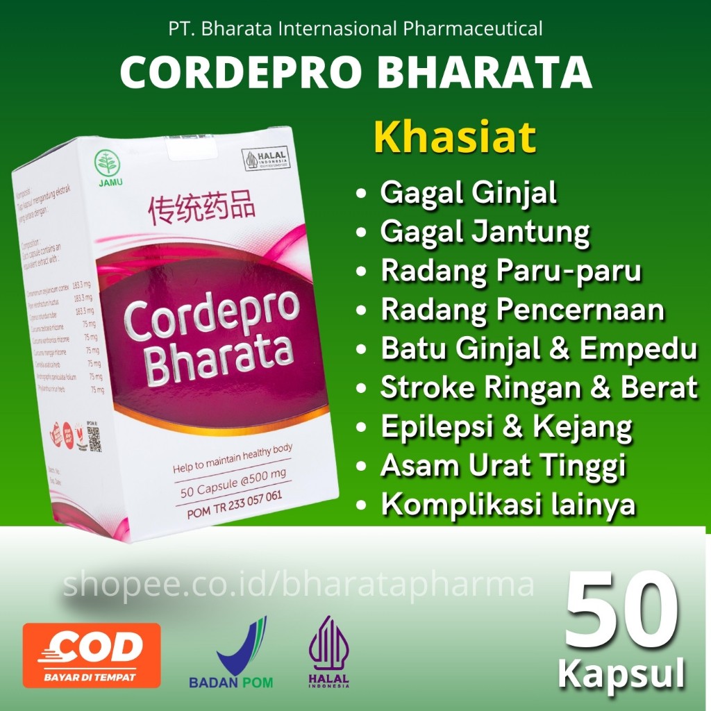 Obat Komplikasi Stroke Epilepsi Jantung Gagal Ginjal Cordepro Bharata Sudah BPOM 100% Original