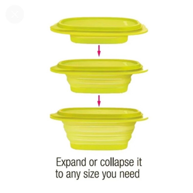 Goflex Tupperware