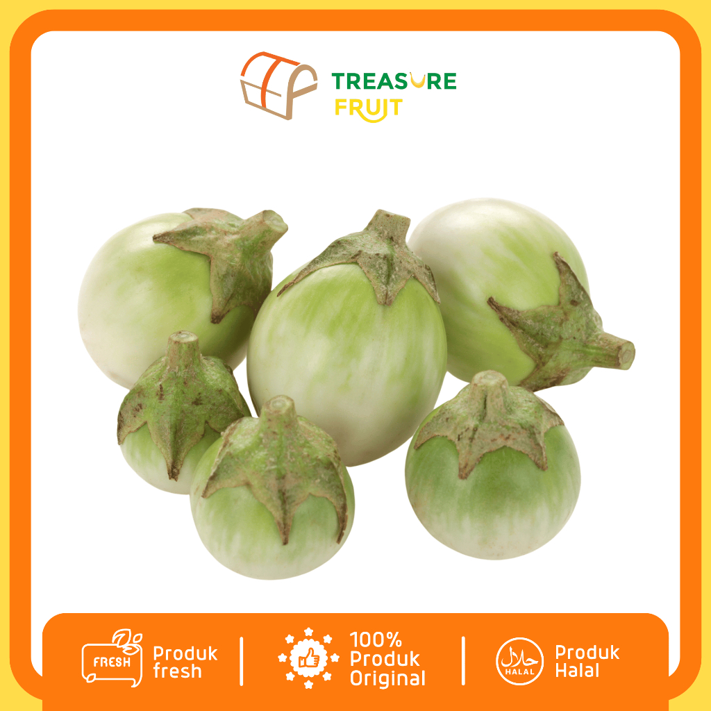 

TERONG BULAT HIJAU Fresh Kualitas Premium I Treasure Fruit - Sayuran Sehat dan Segar
