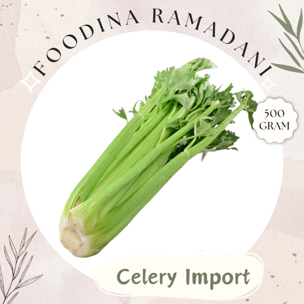 

CELERY STICK Import - Seledri Stik Fresh [ Berat 500gr ] Harga Per 0,5 Kg